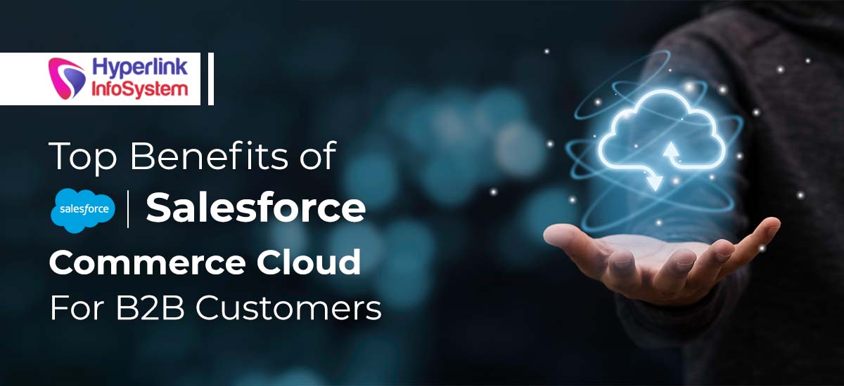 salesforce commerce cloud for b2b customers